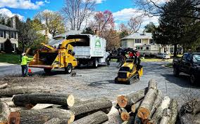  Pocahontas, IA Tree Services Pros